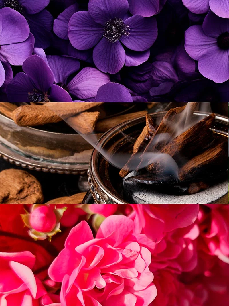 Silk Elixir - Imagen 2