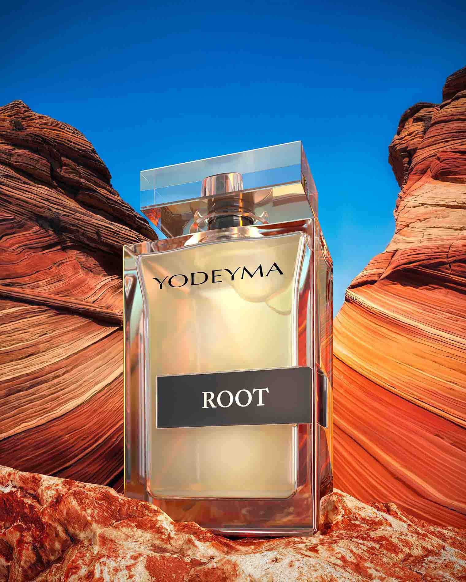 Root